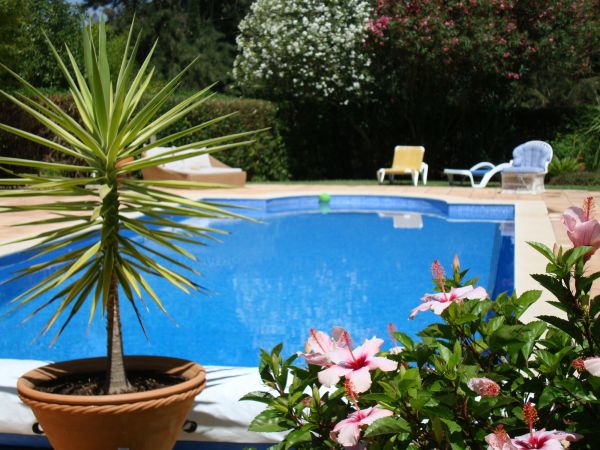 Cost of Pool Terrace Renovation in Golden