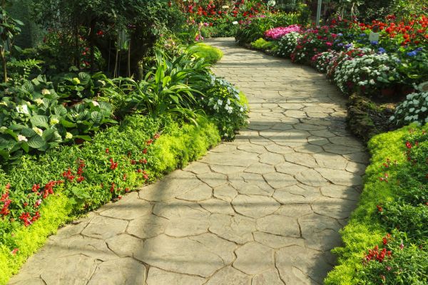 Cost of Stone Pathway Service in Golden